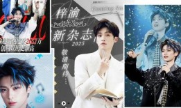 娱乐爆料徐若晗是哪一期,揭秘明星背后的故事