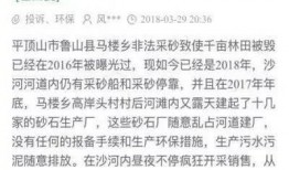 鲁山县最新爆料消息,揭秘神秘事件背后的真相