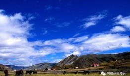 甘孜旅游的博主爆料视频,博主带你领略绝美风光与独特风情