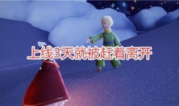王子最新爆料大号,揭秘娱乐圈背后的惊人真相！