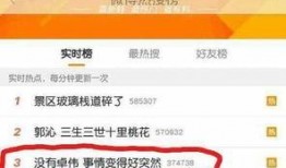 卓伟爆料田源视频大全,揭秘娱乐圈不为人知的秘密