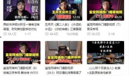 逗哥粉丝爆料事件视频播放,事件真相揭秘