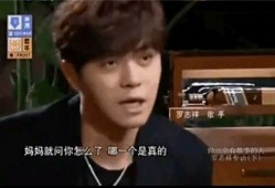 韩甜爆料罗志祥的视频,真相与争议并存