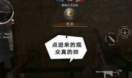 番鼠鉴赏家早期爆料视频,独家视频带你领略番鼠世界