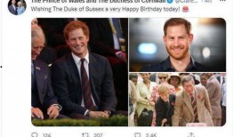 哈利王子爆料哥哥视频,惊人内幕曝光