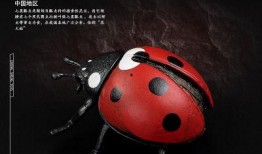爆料虫子玩具视频大全教程,视频大全教程全解析
