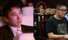 王思聪事件最新爆料新闻,最新爆料揭露惊人内幕