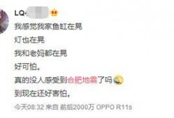 王搏被人爆料了吗视频播放,真相究竟如何？