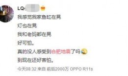 王搏被人爆料了吗视频播放,真相究竟如何？