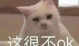 哭声手机在线观看,在线揭秘哭声手机背后的感人故事