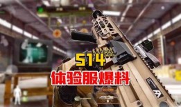 暗区突围最新体验服爆料刀,刀锋新势力，神秘生成机制揭秘