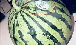 唐县网红的吃瓜,揭秘幕后故事与热门话题