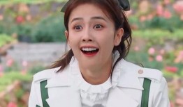 导演爆料白鹿视频,白鹿视频背后的故事与幕后花絮