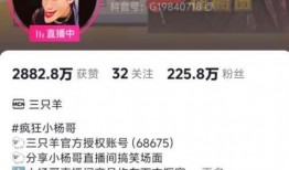 刘维爆料美食视频播放大全,视频播放大全带你领略各地风味