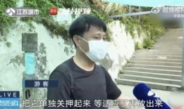 网红吃瓜跳舞是谁啊,揭秘网红“吃瓜跳舞”背后的神秘人物