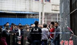 汕头市潮南区爆料事件最新,真相追踪与社区反响