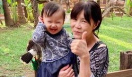 爆料公公婆婆的视频,视频爆料揭示家庭矛盾与温情瞬间