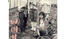 田园日记在线观看,在线观看，感受诗意乡村生活