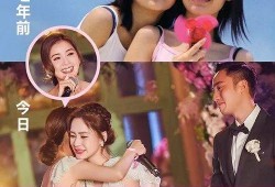 真假姐妹在线观看,揭秘身份之谜，情感纠葛在线揭晓