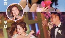 真假姐妹在线观看,揭秘身份之谜，情感纠葛在线揭晓