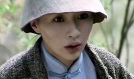 黑狐全集在线观看,揭秘特工风云，揭秘神秘组织背后的真相