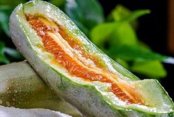 网红吃瓜微信头像图片,揭秘网络红人的趣味生活瞬间