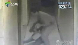 遵义新娘邻居爆料视频大全,揭秘婚礼现场惊人一幕