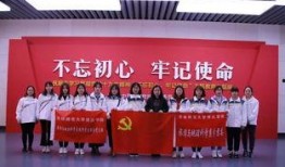 爆料博达学院事件视频,真相与争议交织