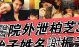 娱乐圈吃瓜名字怎么取名,揭秘明星幕后故事，趣味取名大揭秘