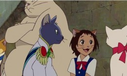 猫的报恩国语在线观看,感人故事在线播放