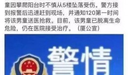 厦门爆料大全视频,揭秘城市热点事件背后的真相