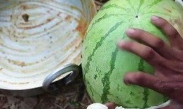 各种网红吃瓜视频在哪看,一网打尽观看指南