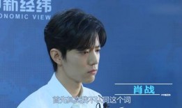 肖战近期爆料视频播放,近期爆料视频背后的故事