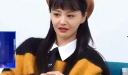 郑爽最新圈内人爆料,揭秘明星背后的真实生活