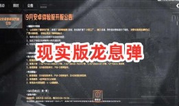 暗区突围最新体验服爆料刀,刀锋新势力，神秘生成机制揭秘