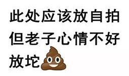 网红吃瓜文案短句图片搞笑,笑料横飞，短句图片带你领略搞笑瞬间