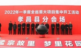 孝昌最新事件大爆料新闻,真相与幕后黑幕曝光