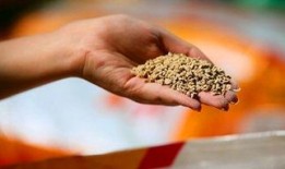 饲料安全爆料视频