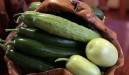 唐县网红的吃瓜,揭秘幕后故事与热门话题