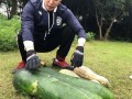 最新大瓜爆料翰林,揭秘娱乐圈幕后真相