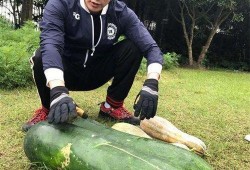 最新大瓜爆料翰林,揭秘娱乐圈幕后真相