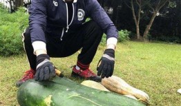 最新大瓜爆料翰林,揭秘娱乐圈幕后真相