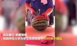 新瓜最新爆料老师视频,老师视频背后的惊人真相，新瓜爆料引发热议