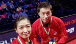 乒乓球明星爆料大全最新,独家内幕与精彩瞬间