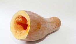 娱乐圈吃瓜基地的地方,幕后故事大揭秘