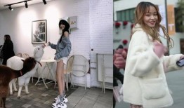 陈意礼真实爆料了吗视频,事件背后真相曝光