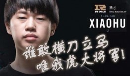 豪哥小虎爆料视频大全,视频大全精彩瞬间回顾