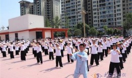 塔沟武校爆料视频大全集,揭秘武术学校的真实面貌