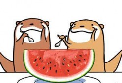 娱乐吃瓜号会不会侵权呢,风险与合规的边界探索