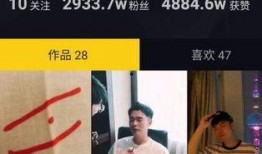 没视频能爆料吗抖音,无视频爆料背后的秘密